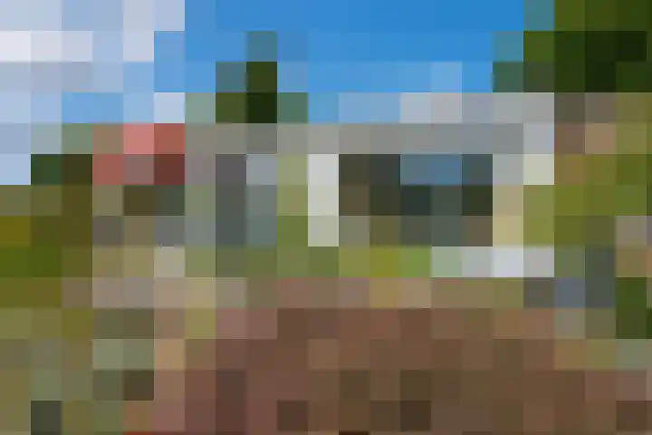 Schellardweg 31 Oosterbeek thumbnail 54