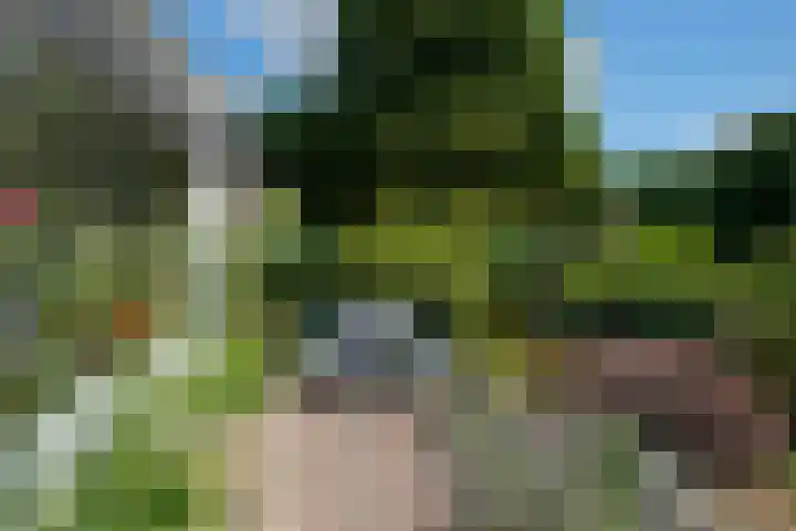 Schellardweg 31 Oosterbeek thumbnail 57