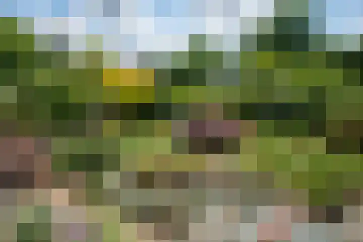 Schellardweg 31 Oosterbeek thumbnail 60