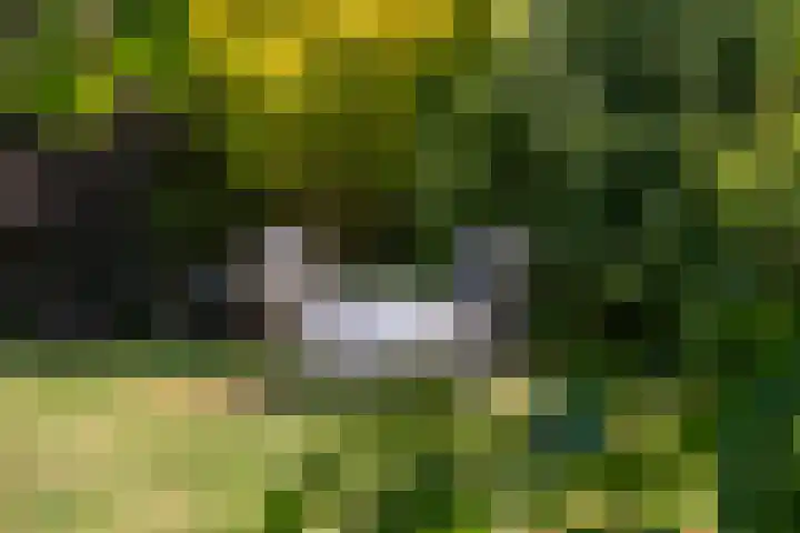 Schellardweg 31 Oosterbeek thumbnail 61