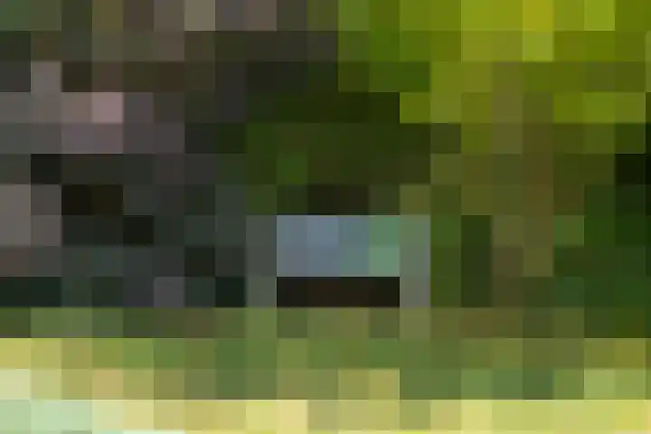 Schellardweg 31 Oosterbeek thumbnail 62