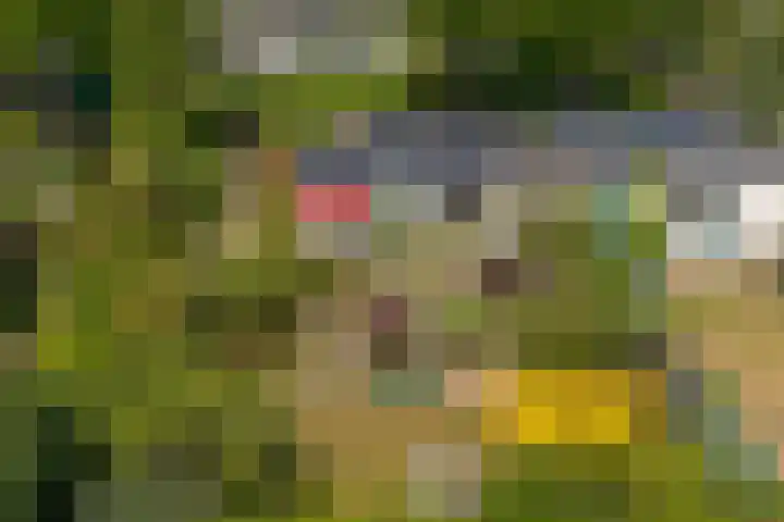 Schellardweg 31 Oosterbeek thumbnail 64