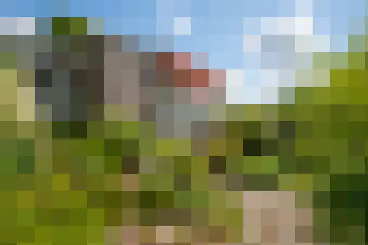 Schellardweg 31 Oosterbeek thumbnail 65