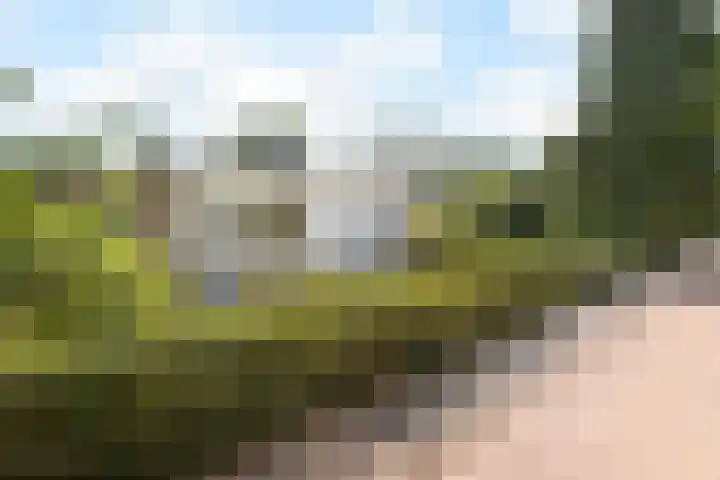 Schellardweg 31 Oosterbeek thumbnail 66
