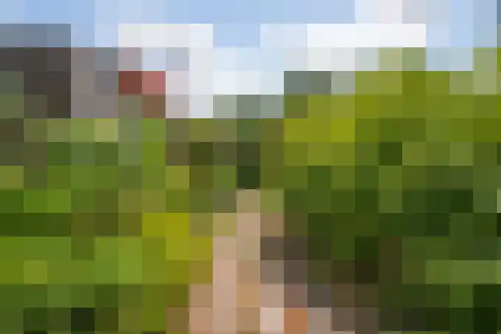Schellardweg 31 Oosterbeek thumbnail 68