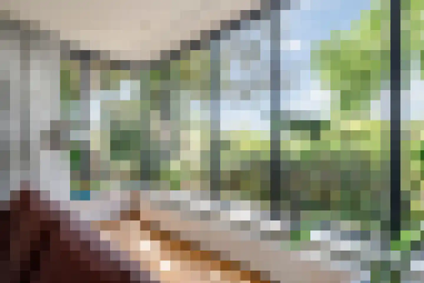 Schellardweg 6 Oosterbeek thumbnail 10