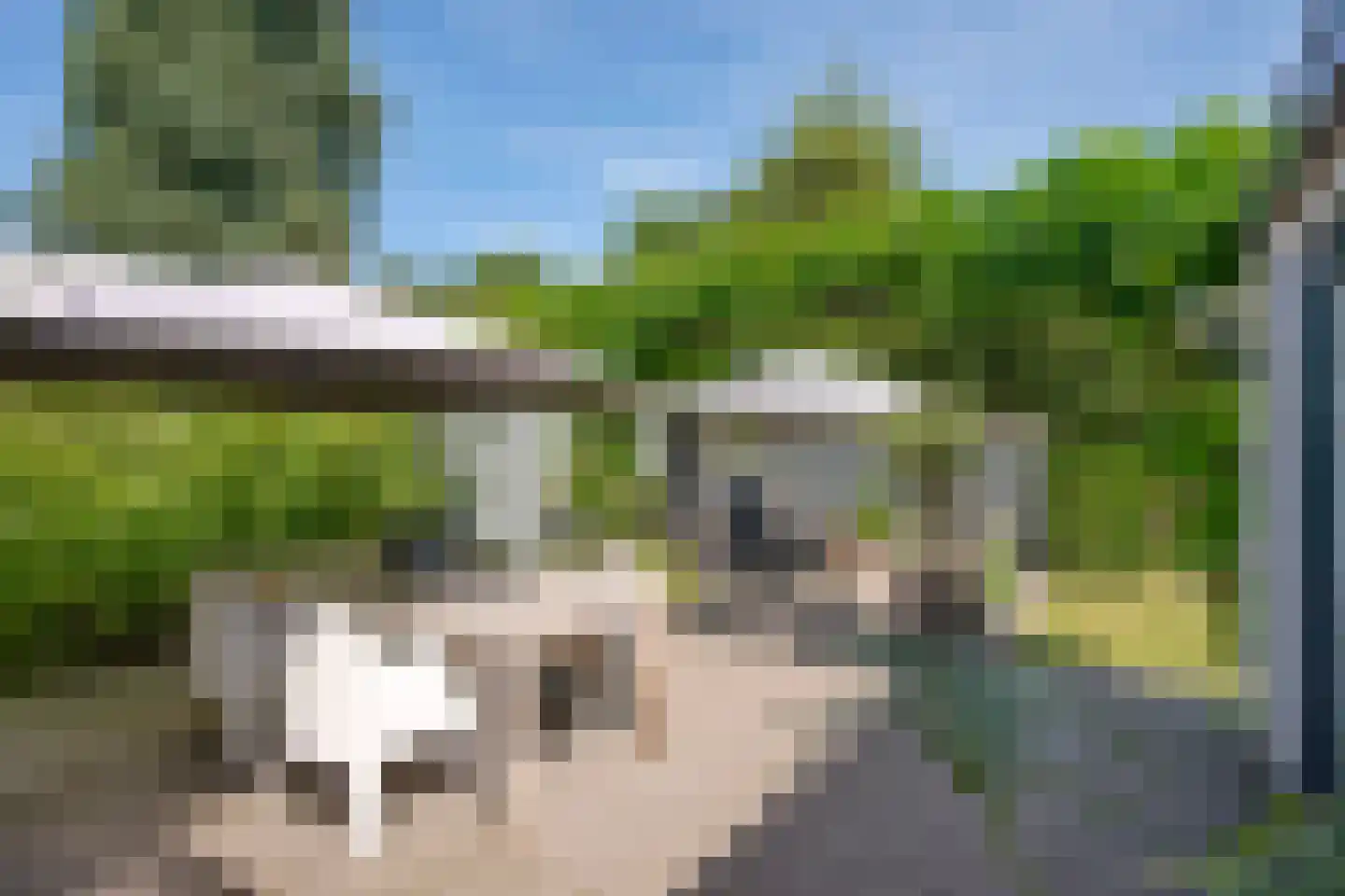 Schellardweg 6 Oosterbeek thumbnail 54