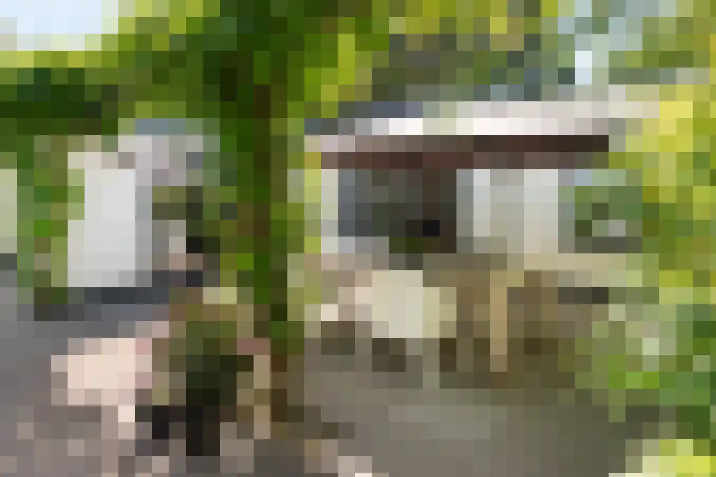 Schellardweg 6 Oosterbeek thumbnail 55
