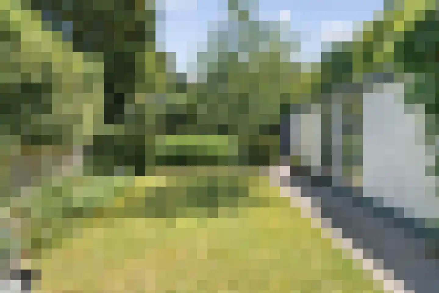Schellardweg 6 Oosterbeek thumbnail 56