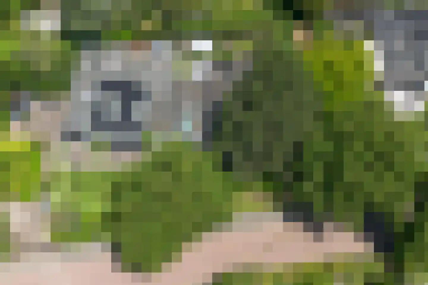 Schellardweg 6 Oosterbeek thumbnail 62