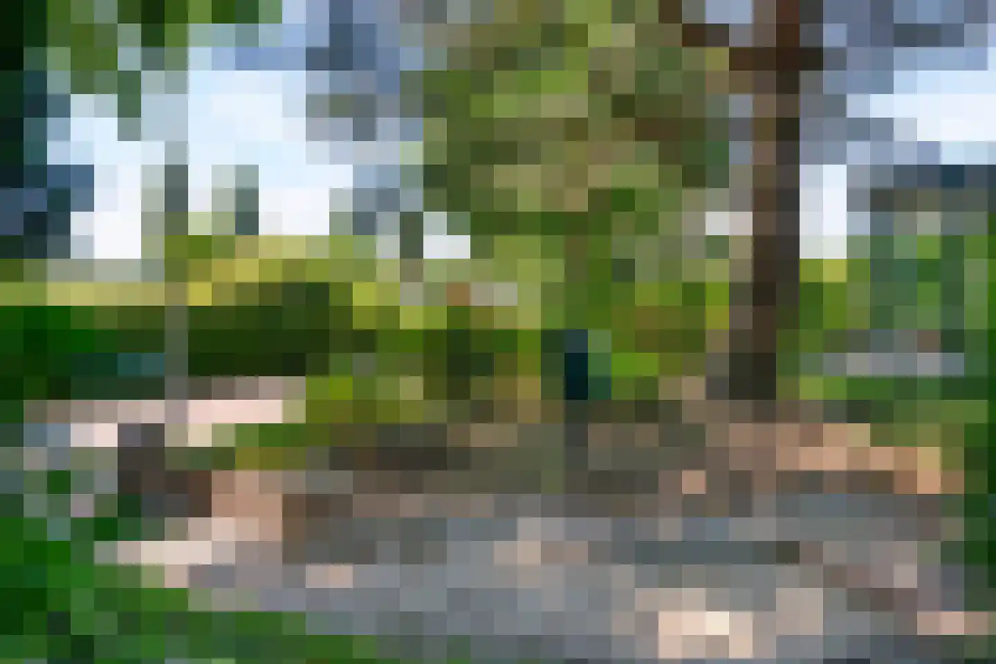 Schellardweg 6 Oosterbeek thumbnail 63