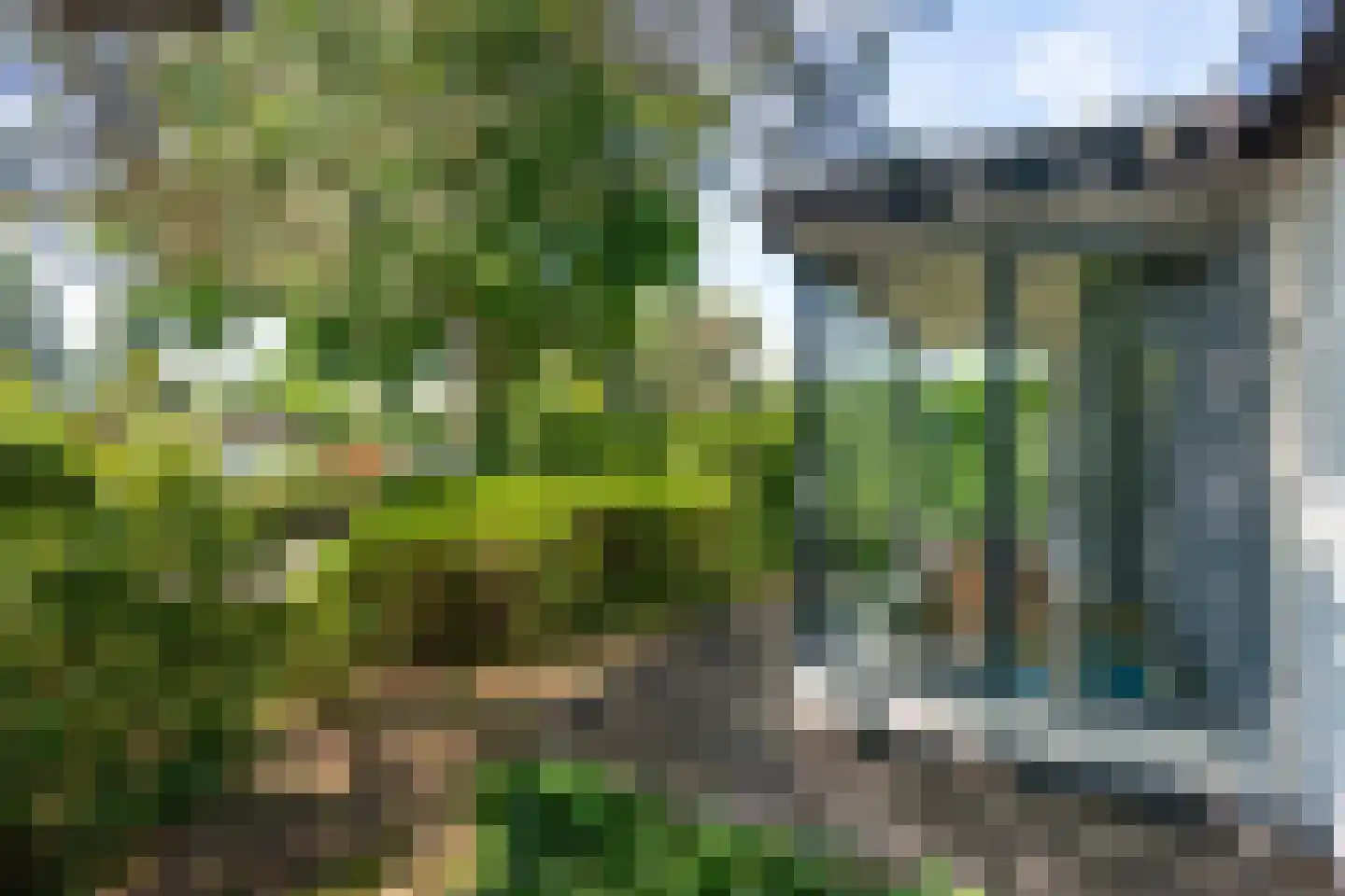 Schellardweg 6 Oosterbeek thumbnail 66