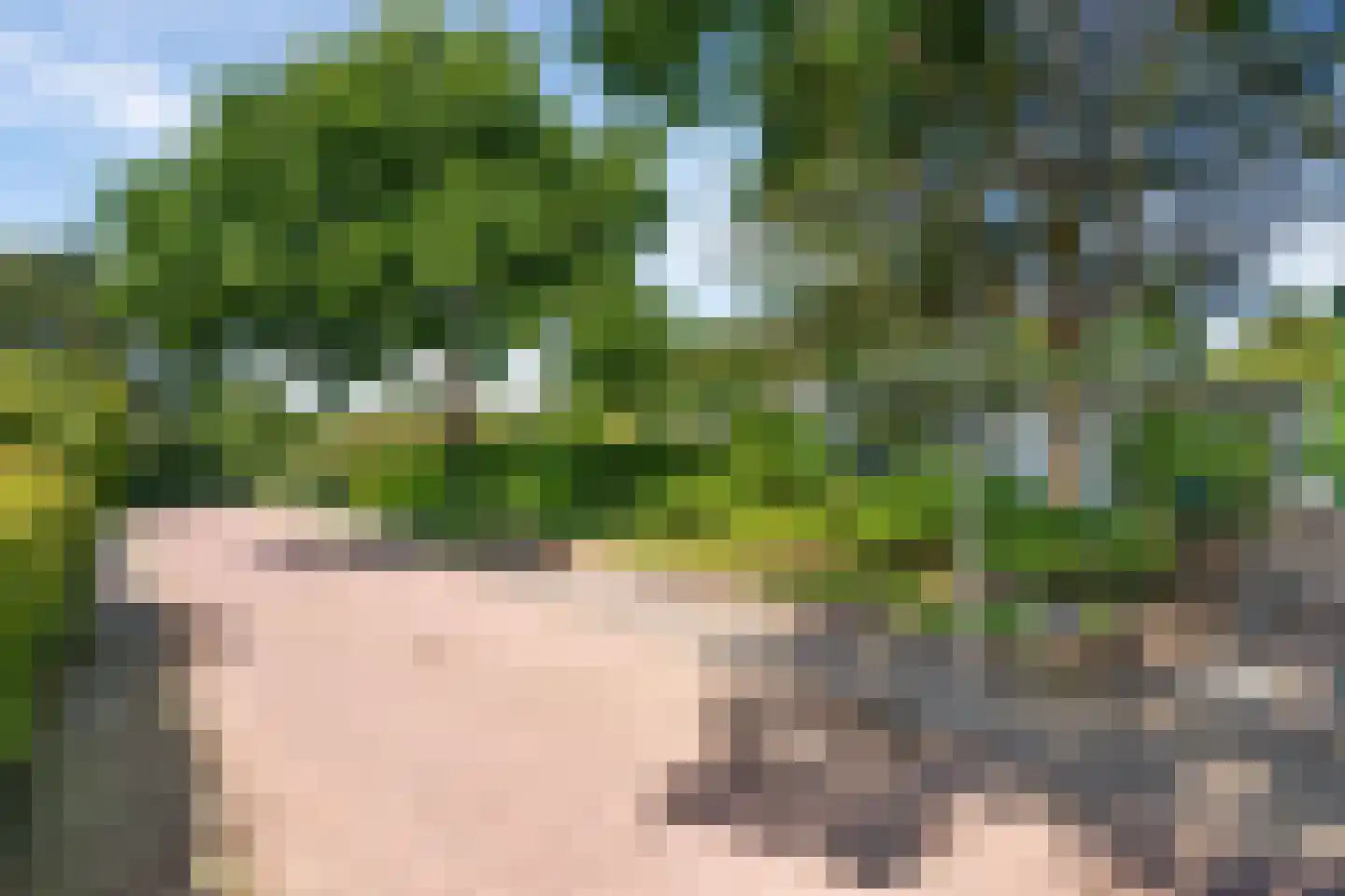 Schellardweg 6 Oosterbeek thumbnail 67