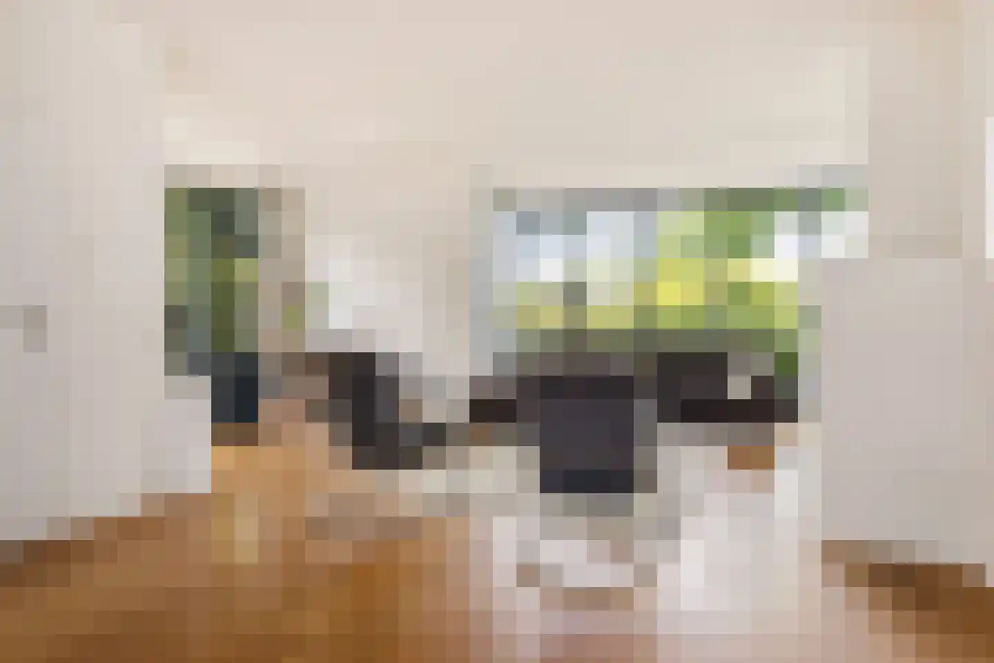 Schellardweg 6 Oosterbeek thumbnail 8