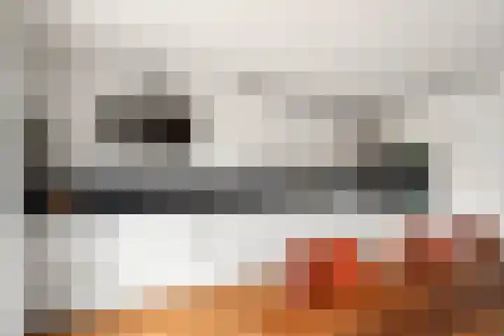 Schellenkrans 8 Zevenaar thumbnail 18