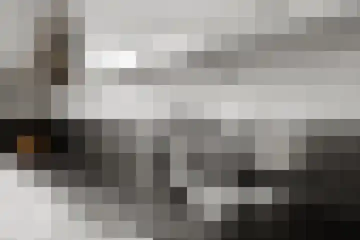 Schellenkrans 8 Zevenaar thumbnail 21