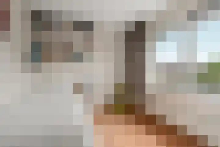 Schellenkrans 8 Zevenaar thumbnail 34