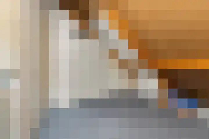 Schellenkrans 8 Zevenaar thumbnail 40