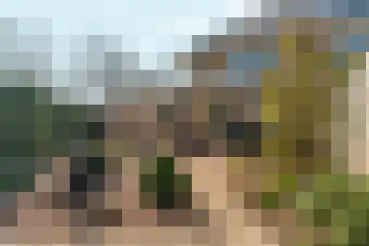 Schellenkrans 8 Zevenaar thumbnail 50
