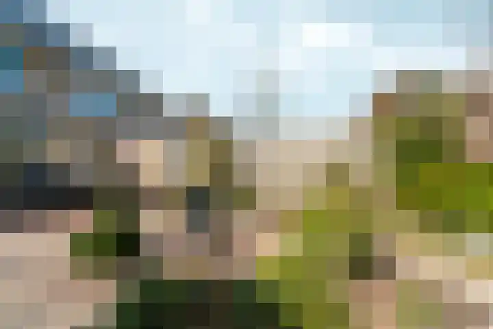 Schellenkrans 8 Zevenaar thumbnail 52