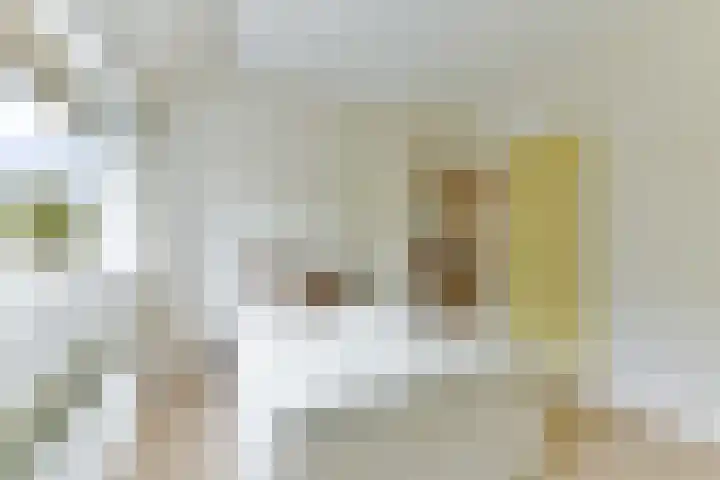 Schellenkrans 8 Zevenaar thumbnail 53