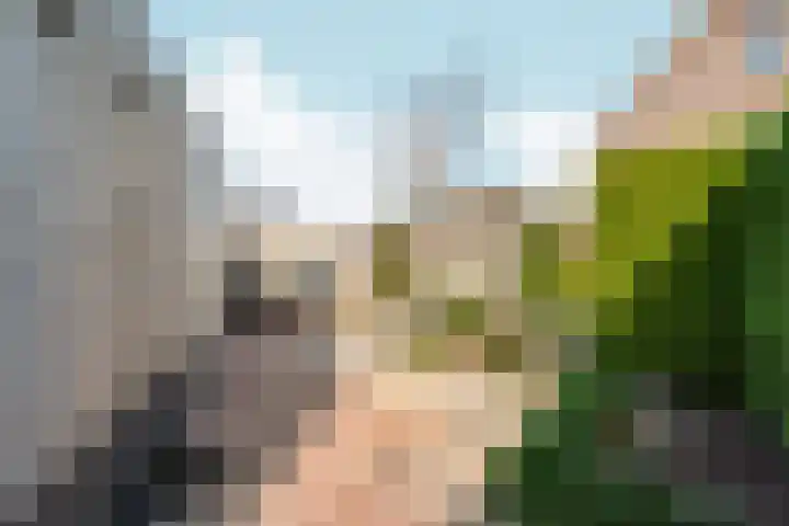Schellenkrans 8 Zevenaar thumbnail 56