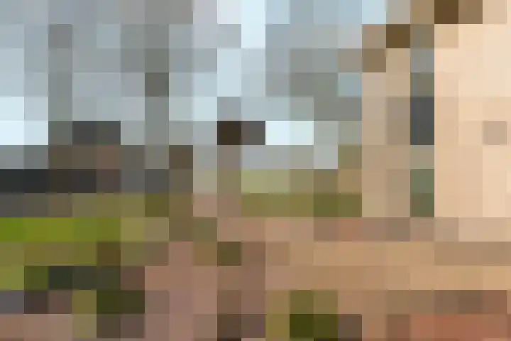Schellenkrans 8 Zevenaar thumbnail 58