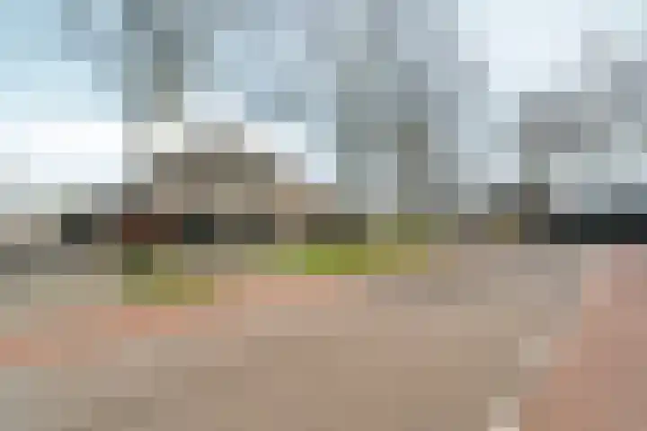 Schellenkrans 8 Zevenaar thumbnail 59