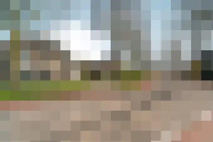 Schellenkrans 8 Zevenaar thumbnail 60