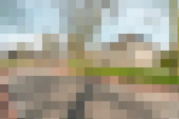 Schellenkrans 8 Zevenaar thumbnail 61