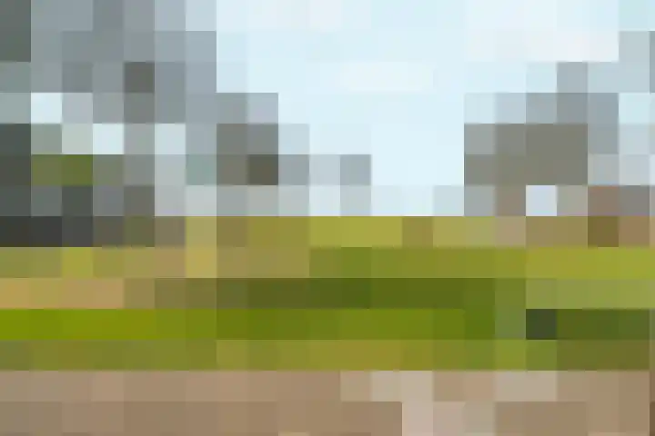 Schellenkrans 8 Zevenaar thumbnail 62