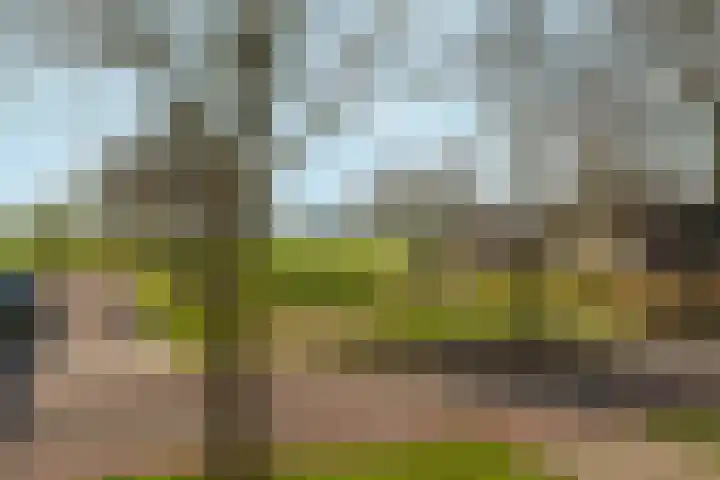 Schellenkrans 8 Zevenaar thumbnail 63