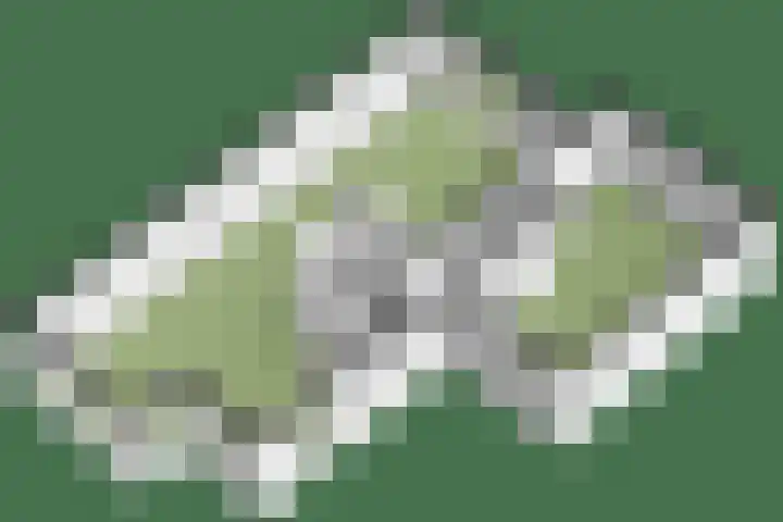 Schellenkrans 8 Zevenaar thumbnail 66
