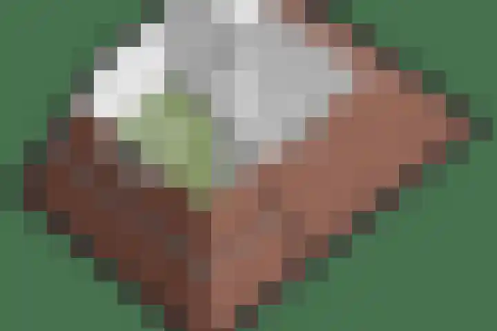Schellenkrans 8 Zevenaar thumbnail 70
