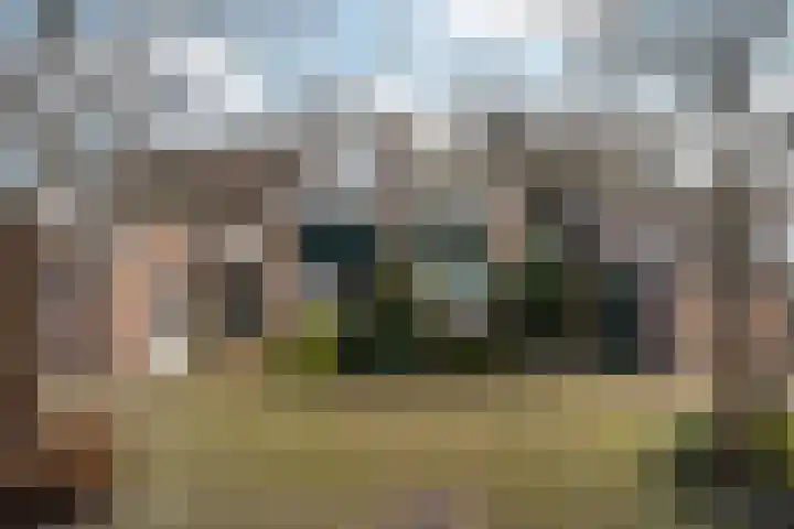 Schellenkrans 8 Zevenaar thumbnail 73
