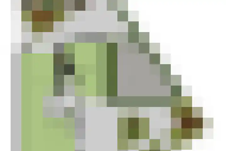Schellenkrans 8 Zevenaar thumbnail 73