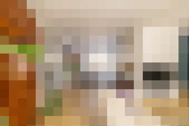 Schellenkrans 8 Zevenaar thumbnail 75
