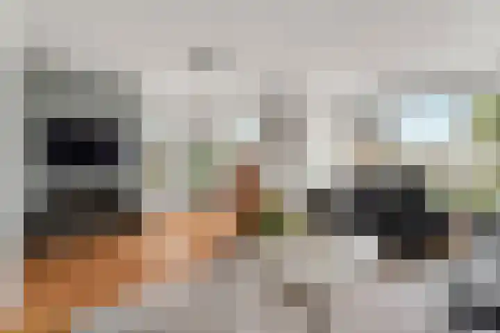 Schellenkrans 8 Zevenaar thumbnail 9