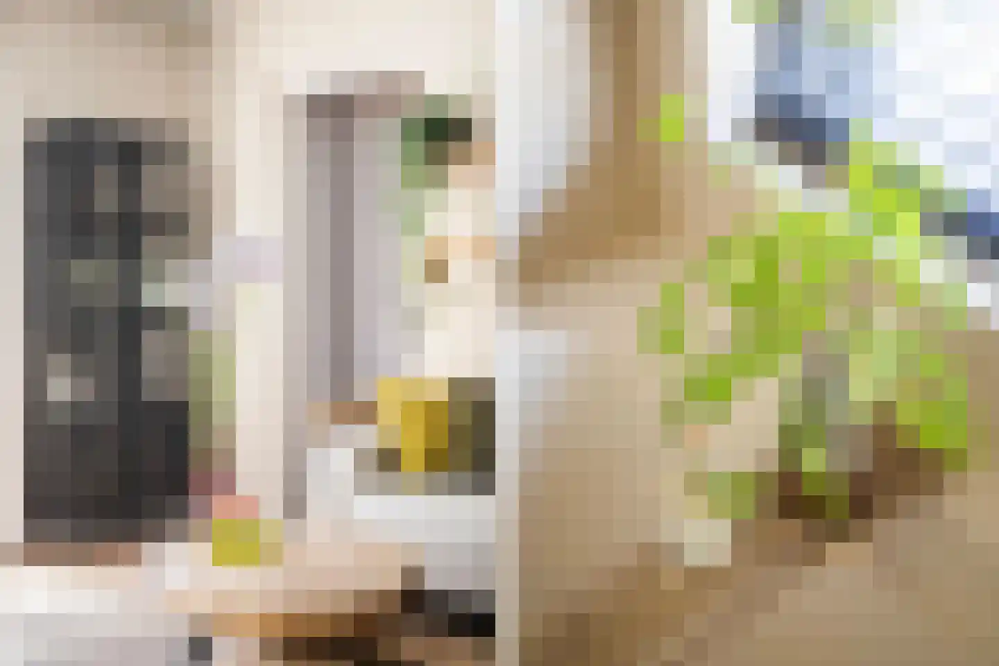 Schellerallee 15 Zwolle thumbnail 13