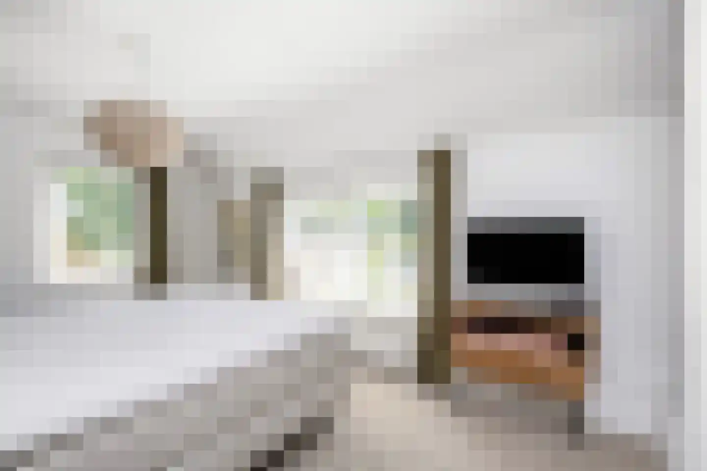 Schellerallee 15 Zwolle thumbnail 15
