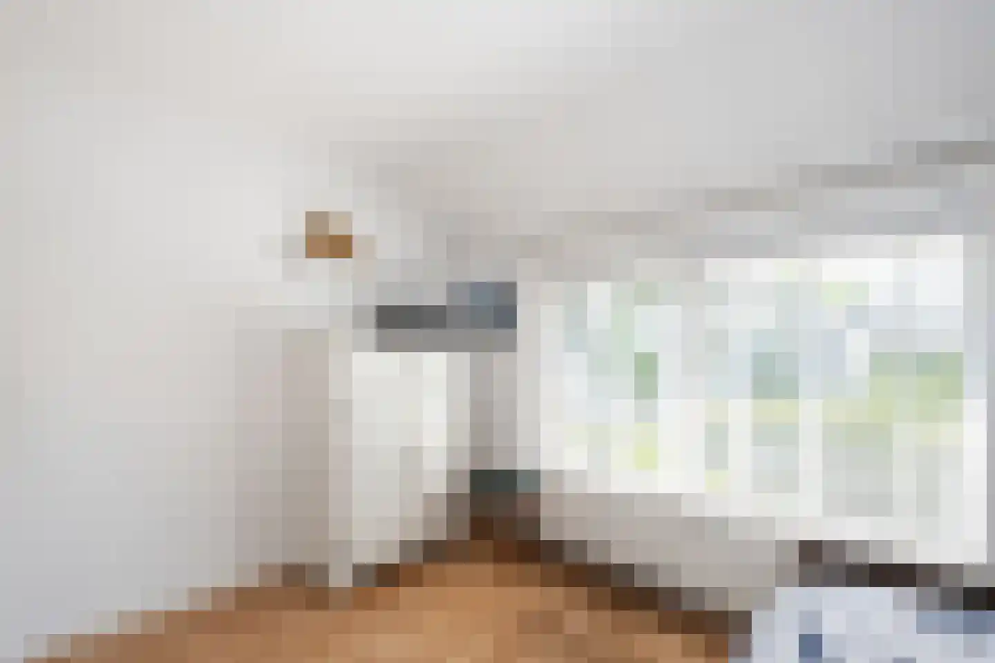 Schellerallee 15 Zwolle thumbnail 21