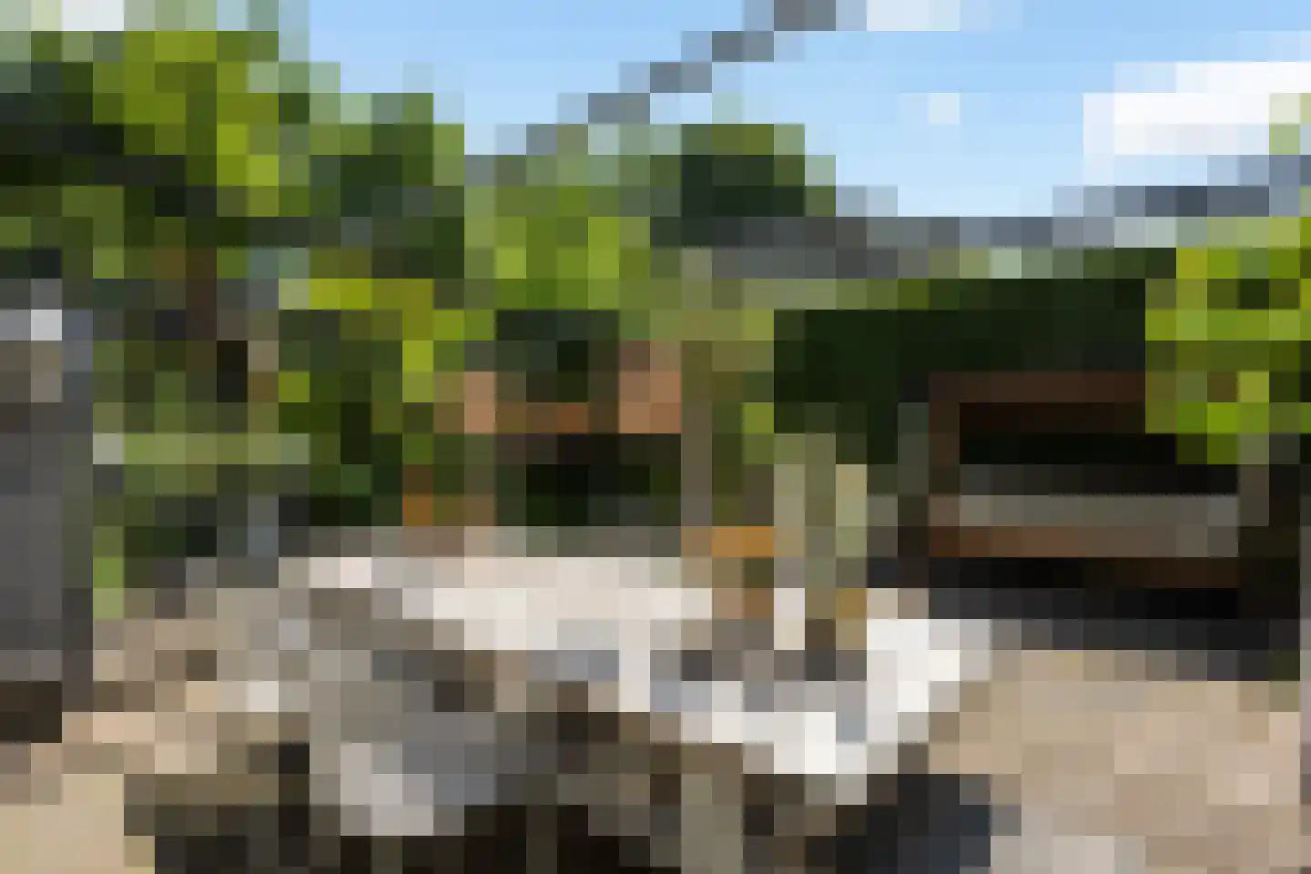 Schellerallee 15 Zwolle thumbnail 25