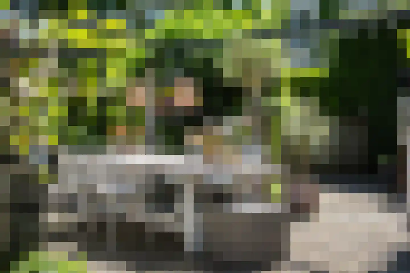 Schellerallee 15 Zwolle thumbnail 26