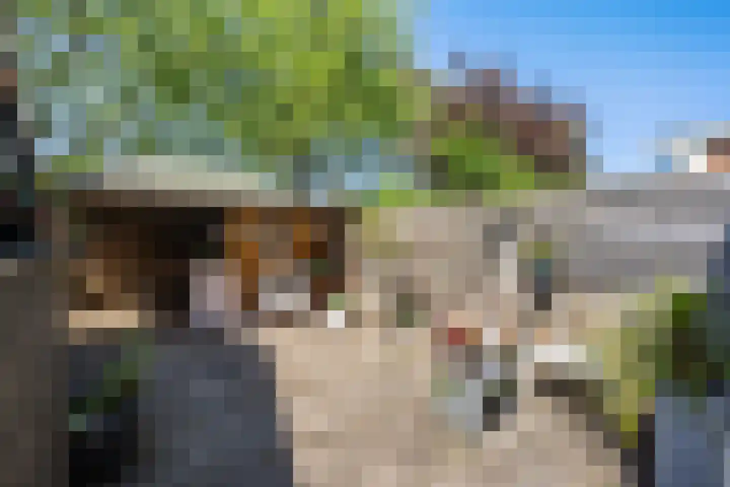 Schellerallee 15 Zwolle thumbnail 29
