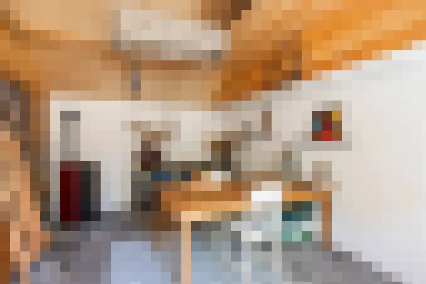 Schellerallee 15 Zwolle thumbnail 30