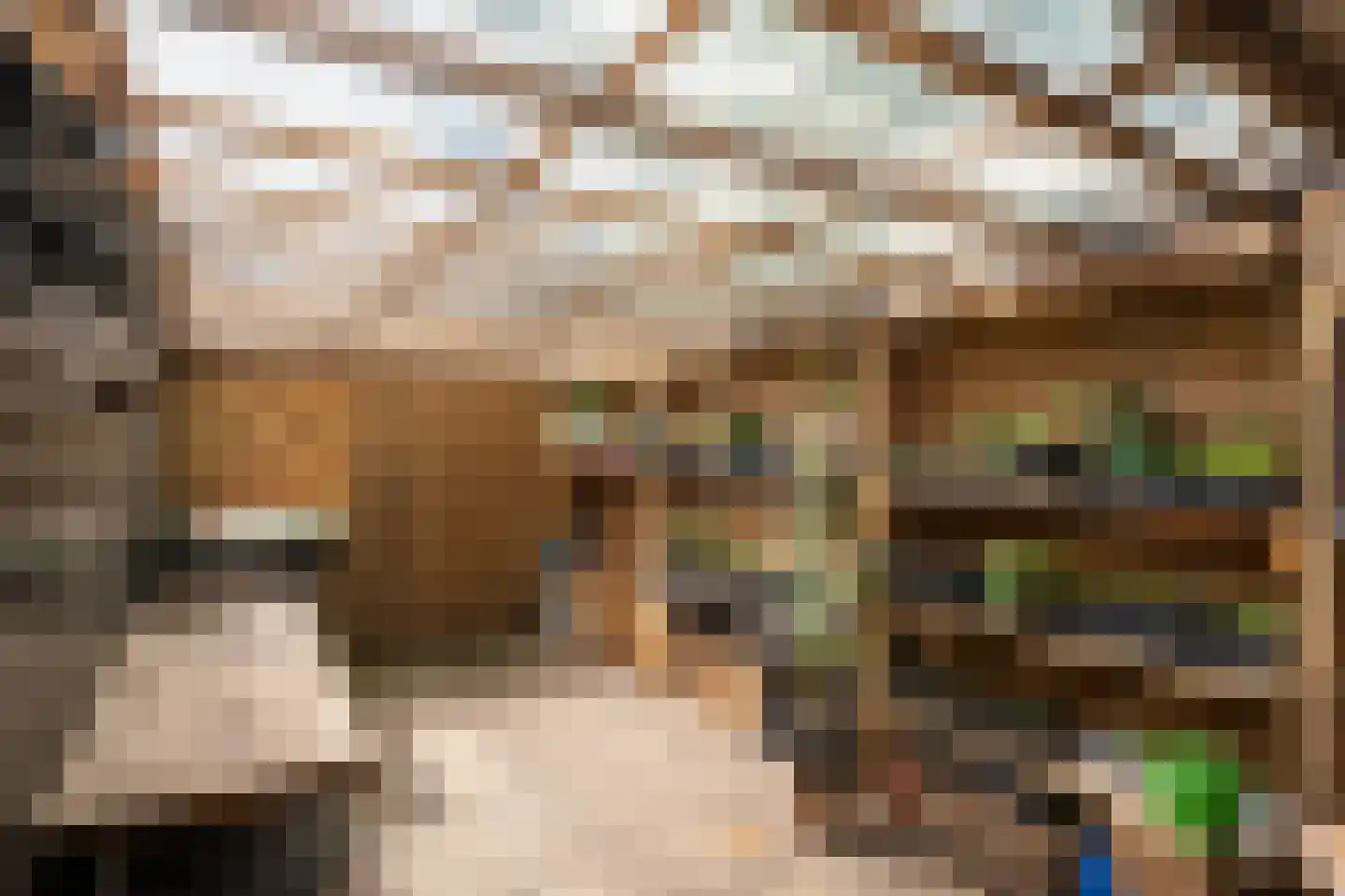 Schellerallee 15 Zwolle thumbnail 31