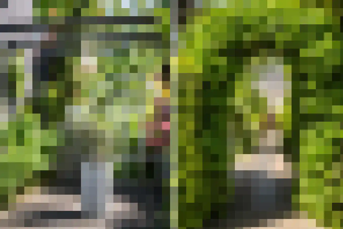 Schellerallee 15 Zwolle thumbnail 32