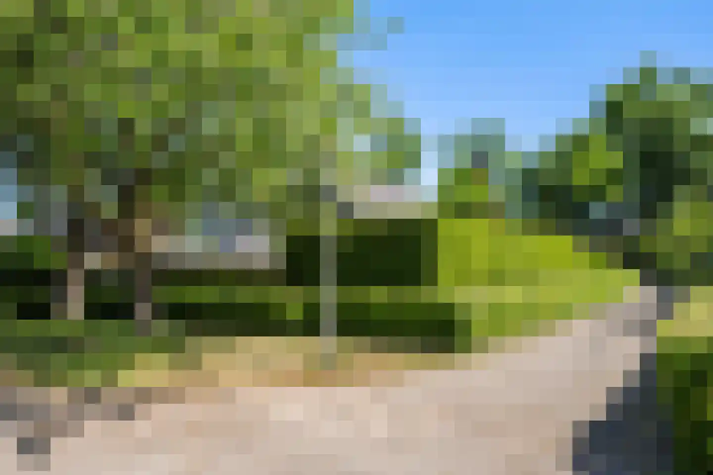 Schellerallee 15 Zwolle thumbnail 33