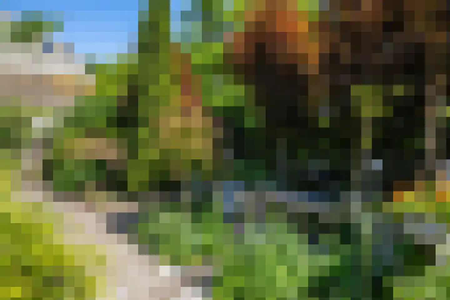 Schellerallee 15 Zwolle thumbnail 35