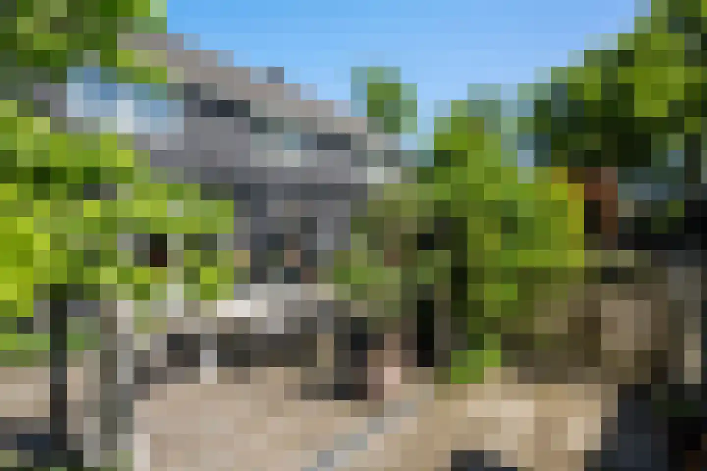 Schellerallee 15 Zwolle thumbnail 4